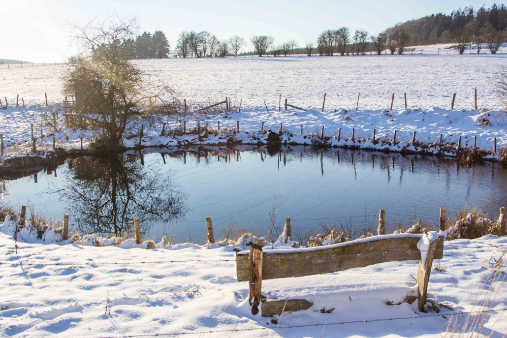 Schneelandschaft